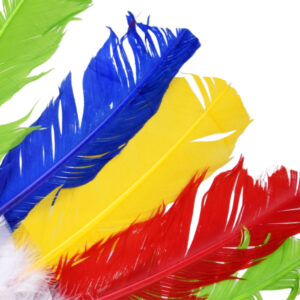 Spalvingas plunksnų galvos apdangalas vaikiškam kostiumui, lankelis ZA6431 - Image 6