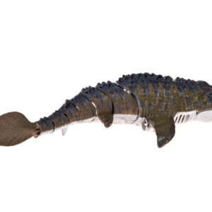 Nuotoliniu būdu valdomas vandens dinozauras Mosasaurus, plaukiojantis ir purškiantis vandenį, 40 cm RC0801 - Image 6