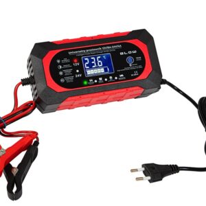 Švino akumuliatorių įkroviklis 12V 8A, 24V 4A, LCD