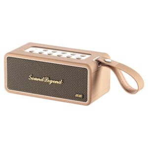 Nešiojamasis garsiakalbis 2E SoundLegend 80W, BT 5.3, TWS, FLAC, MP3, WAV, EQ, išorinė baterija, IPX6, RGB, rudas - Image 5