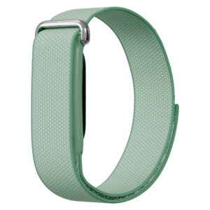 imoshion nailoninė apyrankė, skirta Fitbit Air – mėtų žalia
