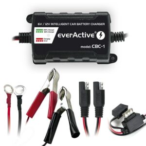 Automatinis švino akumuliatorių įkroviklis 6/12V 3.2-80Ah 1A EverActive
