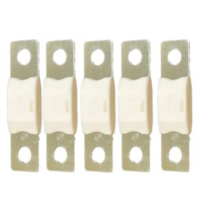 MEGA saugikliai 60A/80V (5vnt) - Image 1