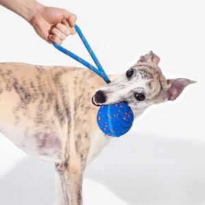 Cheerble Wicked Ball Air Rope - Image 3