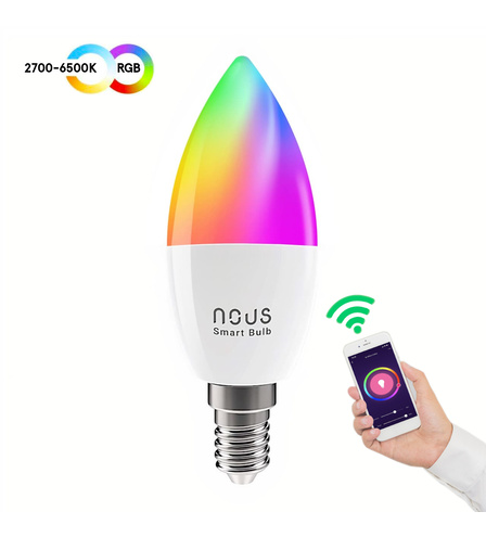 NOUS-P4_A