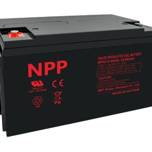 Akumuliatorius 12V 65Ah, Pb GEL (želinis) T14(M6) NPP