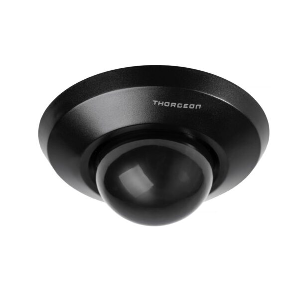 THORGEON_02024_a