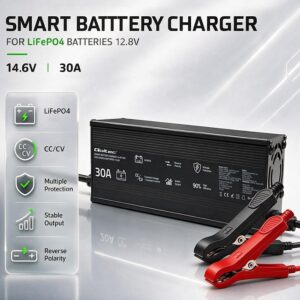 Qoltec 52672 12 V LiFePO4 akumuliatorių įkroviklis | 30 A | PF 0.9