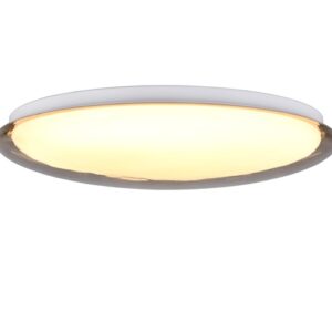 Šviestuvas lubų Trio, 20W, 3000K, 2600lm, Ø38 - Image 2