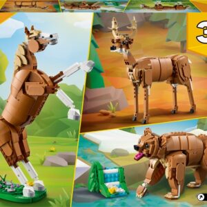Konstruktorius LEGO® Creator 3in1 Beautiful Horse 31166 - Image 2