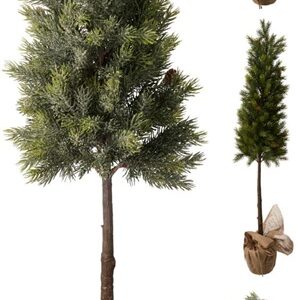 Kalėdinė dekoracija  Tree on stem, 106 cm - Image 2
