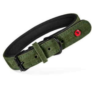 ZOLUX Komfort Odinė, žalia spalva – antkaklis šuniui – 35 cm