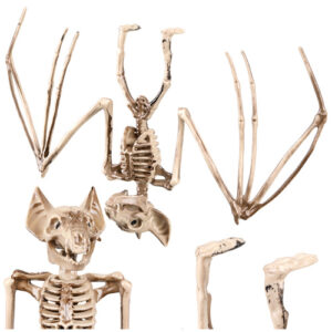 Šikšnosparnio skeletas - dekoracija 30 cm Glimz