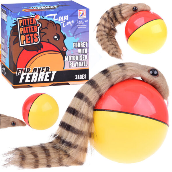 20484_1