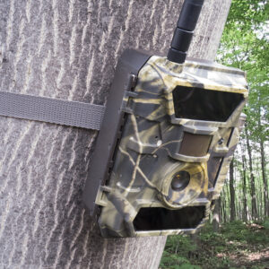 Hunting Camera PNI Hunting 350C 12MP with 3G Internet, SMS, send photo on the move on the phone, email, FTP, full HD 1080P, Night Vision, 58 invisible LEDs for animals - Image 6
