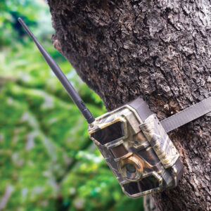 Hunting Camera PNI Hunting 350C 12MP with 3G Internet, SMS, send photo on the move on the phone, email, FTP, full HD 1080P, Night Vision, 58 invisible LEDs for animals - Image 7