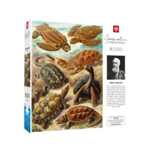 Puzzle Good Loot Imagination - Ernst Haeckel: Jūrinės vėžlės 1000 vnt - Image 3