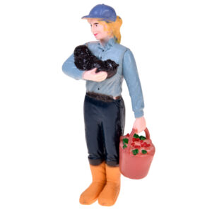FARM ANIMALS SERIES Ūkininko ir paukščių rinkinys – višta, gaidys, žąsis ZA6404 C - Image 6