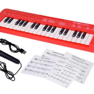 Interaktyvus vargonų klavišinis instrumentas vaikams, 37 klavišai + mikrofonas IN0190 - Image 2