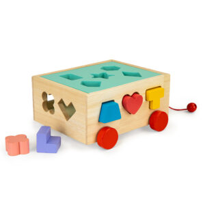 Medinis vaikštynės rūšiuoklis su kaladėlėmis, edukacinis kubas vaikams ECOTOYS - Image 3