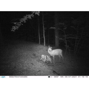 Medžioklės kamera PNI Hunting 400C 12MP su 4G LTE internetu, GPS, vaizdo ir nuotraukų siuntimu į telefoną, 4 el. pašto adresus, FTP, Full HD 1080P, naktiniu matymu, 57 nematomais šviesos diodais gyvūnams - Image 23