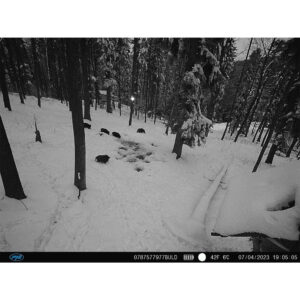 Hunting Camera PNI Hunting 350C 12MP with 3G Internet, SMS, send photo on the move on the phone, email, FTP, full HD 1080P, Night Vision, 58 invisible LEDs for animals - Image 15