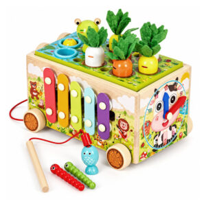 Medinis 8-in-1 varlės formos lavinamasis kubas su vaikštyne, formų rūšiuokliu, ksilofonu ir kirmėlių žvejyba ECOTOYS - Image 5