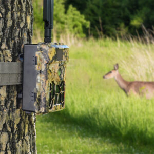 Medžioklės kamera PNI Hunting 480C PRO, 24MP, su 4G internetu, GPS, 60° matymo kampu - Image 4