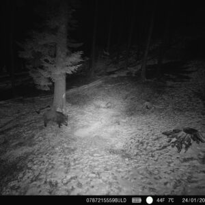 PNI Hunting 400C PRO 24MP medžioklės kamera su 4G LTE internetu, GPS, vienu metu perduoda vaizdo įrašus ir nuotraukas į telefoną, 4 el. pašto adresus, FTP, Full HD 1080P, naktinis matymas, 59 nematomi šviesos diodai gyvūnams - Image 17