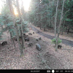 PNI Hunting 400C PRO 24MP medžioklės kamera su 4G LTE internetu, GPS, vienu metu perduoda vaizdo įrašus ir nuotraukas į telefoną, 4 el. pašto adresus, FTP, Full HD 1080P, naktinis matymas, 59 nematomi šviesos diodai gyvūnams - Image 26