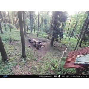 PNI Hunting 400C PRO 24MP medžioklės kamera su 4G LTE internetu, GPS, vienu metu perduoda vaizdo įrašus ir nuotraukas į telefoną, 4 el. pašto adresus, FTP, Full HD 1080P, naktinis matymas, 59 nematomi šviesos diodai gyvūnams - Image 28