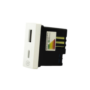 Dvigubas USB lizdas PNI UB30, 5V, 2.4A, modulinis, įmontuojamas