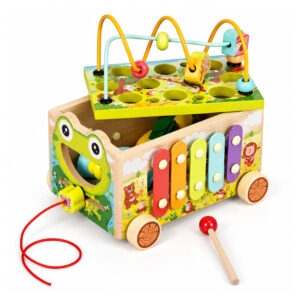 Medinis 8-in-1 varlės formos lavinamasis kubas su vaikštyne, formų rūšiuokliu, ksilofonu ir kirmėlių žvejyba ECOTOYS - Image 6