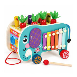 Medinis 8-in-1 drambliuko formos lavinamasis kubas su vaikštyne, formų rūšiuokliu, ksilofonu ir kirmėlių žvejyba ECOTOYS - Image 6