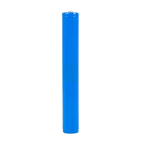 61875_smsn