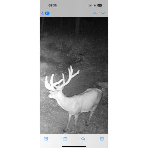 PNI Hunting 400C PRO 24MP medžioklės kamera su 4G LTE internetu, GPS, vienu metu perduoda vaizdo įrašus ir nuotraukas į telefoną, 4 el. pašto adresus, FTP, Full HD 1080P, naktinis matymas, 59 nematomi šviesos diodai gyvūnams - Image 30