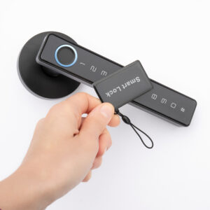 Išmanioji spyna Yala PNI SafeHome PTY800 su pirštų atspaudų skaitytuvu, kodu, „Tuya Smart“ programėle, „Bluetooth“ - Image 9