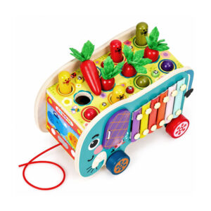 Medinis 8-in-1 drambliuko formos lavinamasis kubas su vaikštyne, formų rūšiuokliu, ksilofonu ir kirmėlių žvejyba ECOTOYS - Image 7