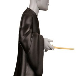 MINIX HARRY POTTER - VOLDEMORT - Image 3