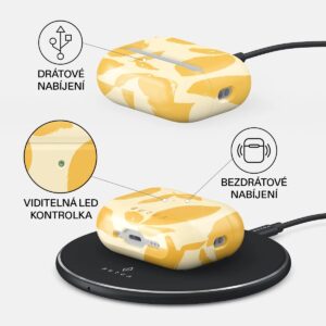 Burga Airpods dėklas, Lemon Tart - Airpods Pro 3 - Image 3