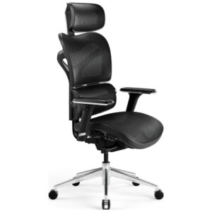 Ergonomiška kėdė Diablo Chairs V-Commander juoda