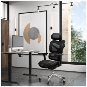 Ergonomiška kėdė Diablo Chairs V-Commander juoda - Image 5