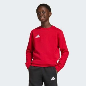 Adidas JZ6556_520 sportinis megztinis arba džemperis su gobtuvu - Image 3