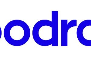 Goodram W-MEM32E4D832G atminties modulis