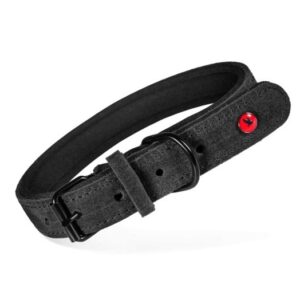 ZOLUX Komfort Odinė, juoda spalva – antkaklis šuniui – 30 cm