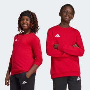 Adidas JZ6556_540 sportinis megztinis arba džemperis su gobtuvu