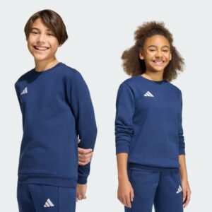 Adidas JZ6552_520 sportinis megztinis arba džemperis su gobtuvu