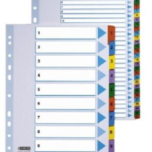 Skiriamieji lapai Esselte Mylar, A4, 1-12 skaičiai, spalvoti