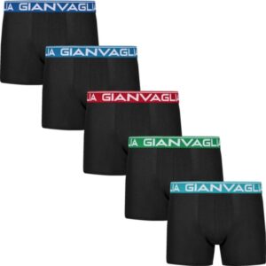 GIANVAGLIA Basic 026 vyriškos medvilninės boxer trumpikės su spalvotomis juostomis, L dydis 10 vnt. - Image 2